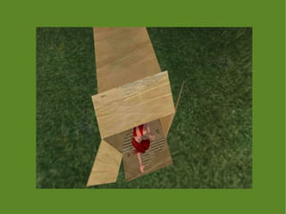 LiliUP Ling em Athen Shire