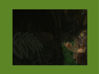 LiliUP Ling em Athen Shire