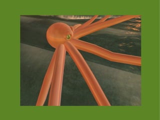 LiliUP Ling em Athen Shire