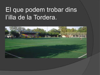 El que podem trobar dins
l’illa de la Tordera.
 