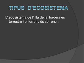 L’ ecosistema de l’ illa de la Tordera és
   terrestre i el terreny és sorrenc.
 