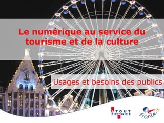 Le numérique au service du
tourisme et de la culture
Usages et besoins des publics
 