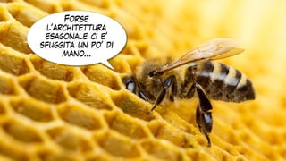 Forse
l’architettura
esagonale ci e’
sfuggita un po’ di
mano…
 