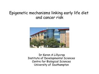 Epigenetic mechanisms linking early life diet
and cancer risk
Dr Karen A Lillycrop
Institute of Developmental Sciences
Centre for Biological Sciences
University of Southampton
 