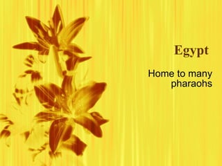 Egypt Home to many pharaohs 