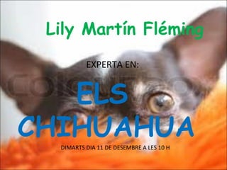 Lily Martín Fléming
          EXPERTA EN:


   ELS
CHIHUAHUA
  DIMARTS DIA 11 DE DESEMBRE A LES 10 H
 