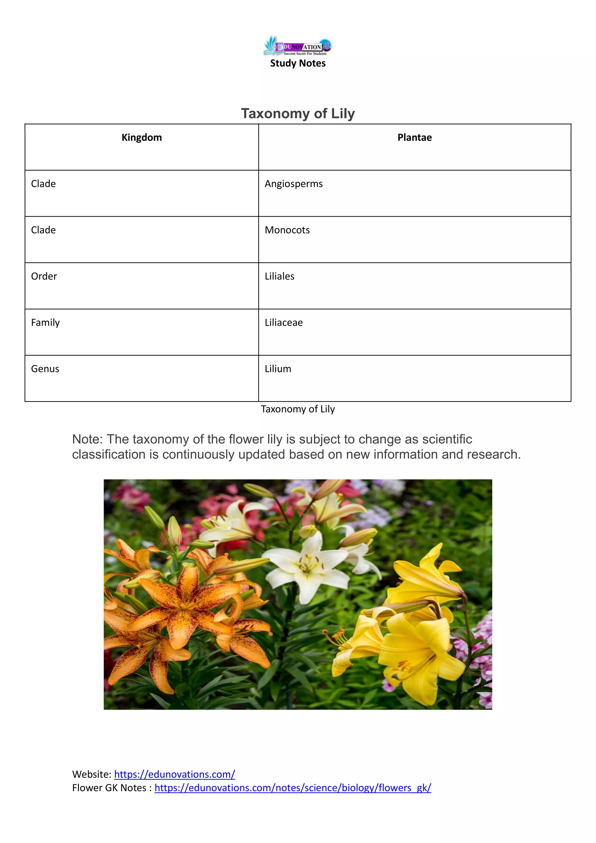 Complete Knowledge Of Lily Flower Pdf