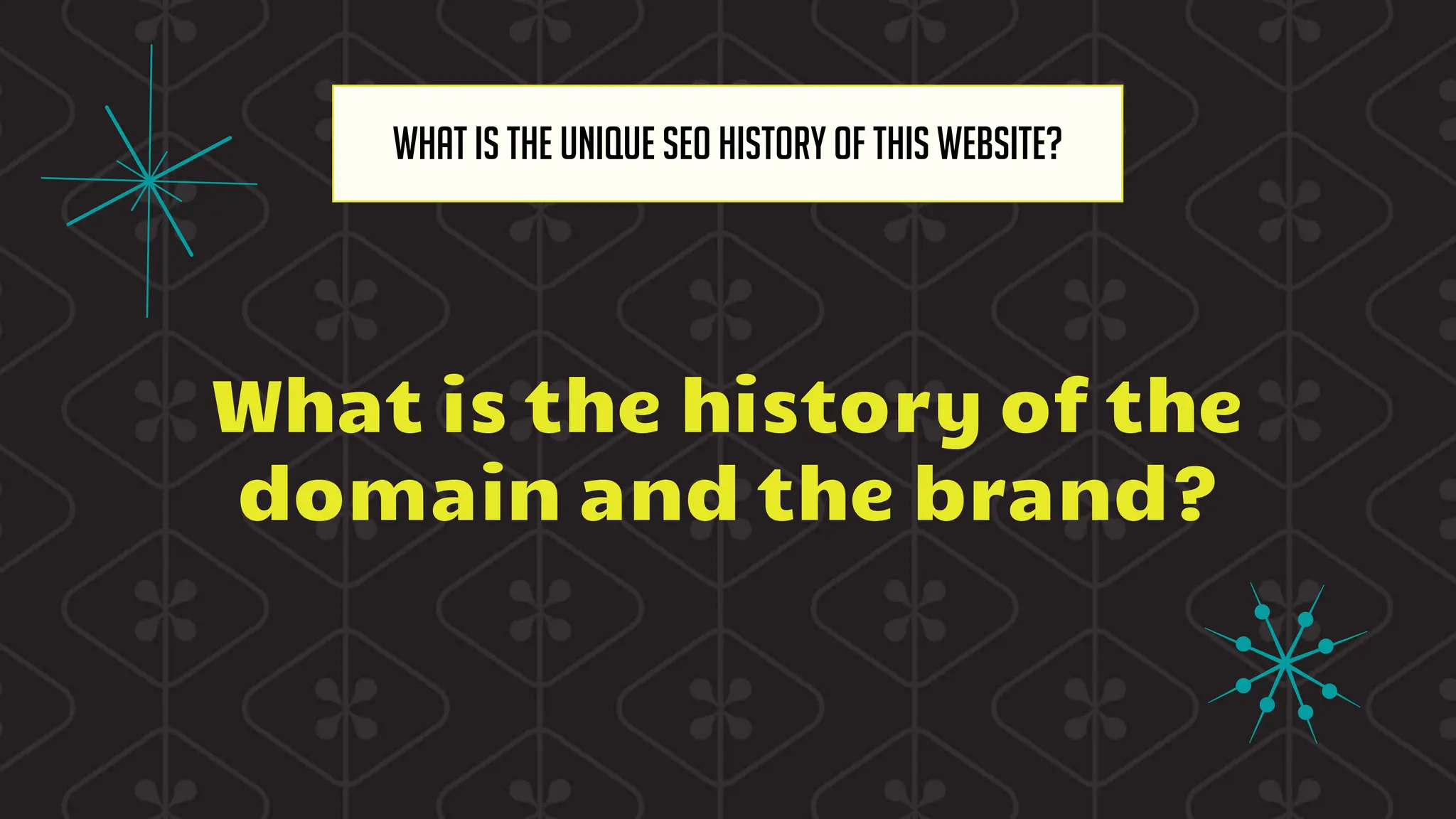 What is the history of the
domain and the brand?
What is the unique SEO history of this website?
 