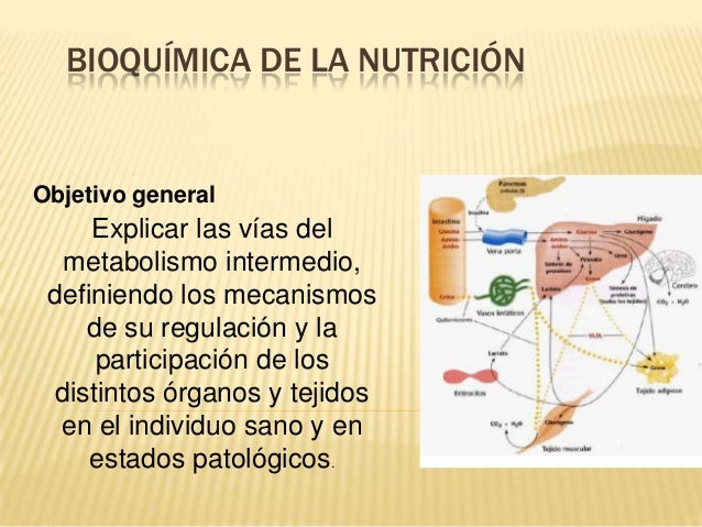 Bioquimica de la nutricion por Lilibeth Bravo