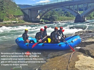 Na potezu od Zatona do Bijelog Polja ima
veliki broj bukova klase II-III, od kojih je
najpoznatijionaj ispod mosta na Ribarevini,
gde se održavaju državnaprvenstva Crne Gore
u kajaku na divljim vodama.
 
