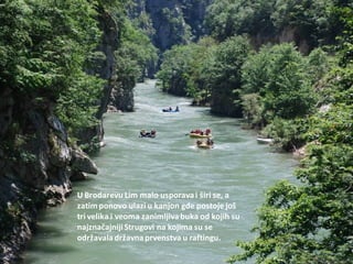 U Brodarevu Lim malo usporavai širi se, a
zatimponovo ulazi u kanjon gde postoje još
tri velika i veoma zanimljivabuka od kojih su
najznačajnijiStrugovi na kojima su se
održavaladržavnaprvenstva u raftingu.
 