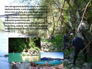 Lim ruži ogromna količina smeda na obalama i
okolnom drvedu, a ono je posebno vidljivo u
zimui rano prolede, pre nego što drvede olista
i ozeleni kada donekle uspeva da sakrije
velikusramotu izazvanuljudskim nemarom i
bahatošduprema ovoj reci.
Ukolikobi se ozbiljnije poradilo na čišdenju
obala Lima, onda bi rekaviše ličila na obližnje
turističkeatrakcije Taru ili Uvac, desnu pritoku
Lima.
 