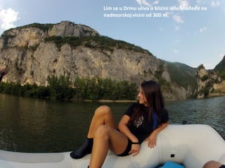 Lim se u Drinu uliva u blizini sela Međeđe na
nadmorskojvisini od 300 m.
 