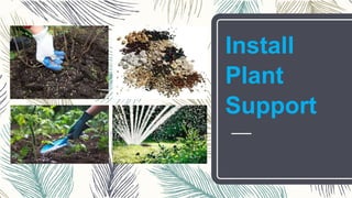 Install
Plant
Support
 