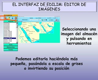 Podemos editarla haciéndola más
pequeña, pasándola a escala de grises
o invirtiendo su posición
Seleccionando una
imagen del almacén
y pulsando en
herramientas
EL INTERFAZ DE EDILIM: EDITOR DE
IMÁGENES
 