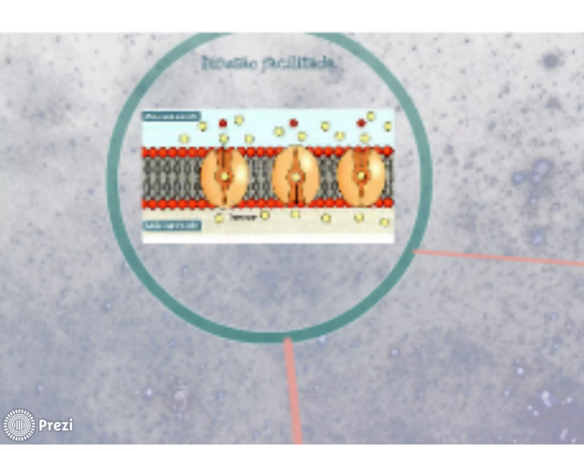 TABLETS NA EDUCAÇÃO: auxiliando na aprendizagem de alunos em exercício domiciliar