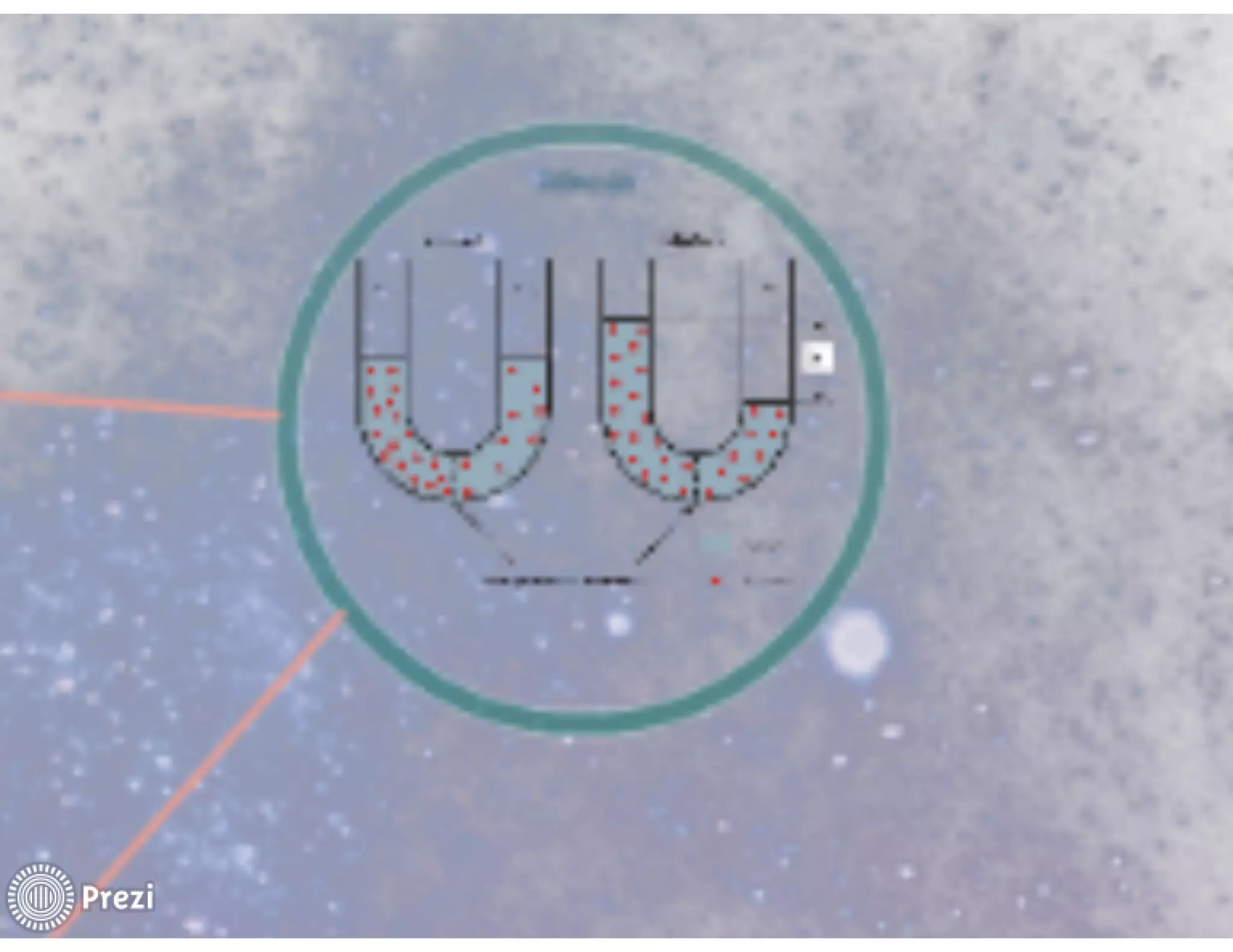 TABLETS NA EDUCAÇÃO: auxiliando na aprendizagem de alunos em exercício domiciliar