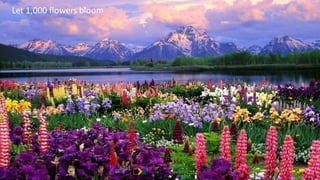 © 2013 Adobe Systems Incorporated. All Rights Reserved. Adobe Confidential.
Let 1,000 flowers bloom
44 44
 