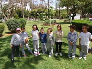 Limani