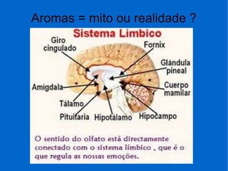 Aromas = mito ou realidade ?
 