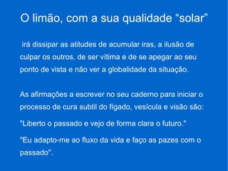 O limão, com a sua qualidade “solar”
irá dissipar as atitudes de acumular iras, a ilusão de
culpar os outros, de ser vítima e de se apegar ao seu
ponto de vista e não ver a globalidade da situação.
As afirmações a escrever no seu caderno para iniciar o
processo de cura subtil do fígado, vesícula e visão são:
"Liberto o passado e vejo de forma clara o futuro."
"Eu adapto-me ao fluxo da vida e faço as pazes com o
passado".
 