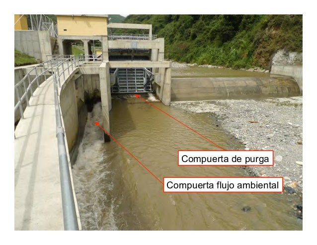 Valvula de purga de sedimentos