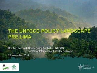 THE UNFCCC POLICY LANDSCAPE 
PRE LIMA 
Stephen Leonard, Senior Policy Analyst – UNFCCC 
Center for International Forestry Research 
20 November 2014 
 
