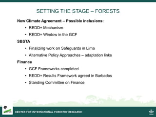 SETTING THE STAGE – FORESTS 
New Climate Agreement – Possible inclusions: 
• REDD+ Mechanism 
• REDD+ Window in the GCF 
S...