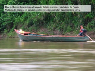 Hay población durante todo el trayecto del río, mientras más lejano de Puerto Maldonado, menos. En general son las personas que talan ilegalmente la selva. 