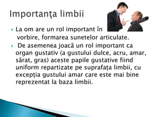  La om are un rol important în
vorbire, formarea sunetelor articulate.
 De asemenea joacă un rol important ca
organ gustativ (a gustului dulce, acru, amar,
sărat, gras) aceste papile gustative fiind
uniform repartizate pe suprafața limbii, cu
excepția gustului amar care este mai bine
reprezentat la baza limbii.
 