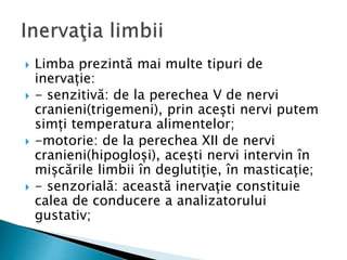  Limba prezintă mai multe tipuri de
inervație:
 - senzitivă: de la perechea V de nervi
cranieni(trigemeni), prin acești nervi putem
simți temperatura alimentelor;
 -motorie: de la perechea XII de nervi
cranieni(hipogloși), acești nervi intervin în
mișcările limbii în deglutiție, în masticație;
 - senzorială: această inervație constituie
calea de conducere a analizatorului
gustativ;
 
