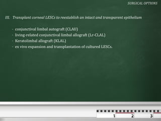 SURGICAL OPTIONS



III. Transplant corneal LESCs to reestablish an intact and transparent epithelium

   -   conjunctival limbal autograft (CLAU)
   -   living-related conjunctival limbal allograft (Lr-CLAL)
   -   Keratolimbal allograft (KLAL)
   -   ex vivo expansion and transplantation of cultured LESCs.
 