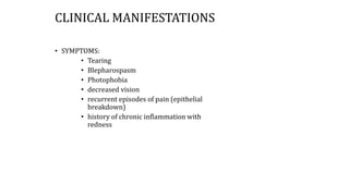 CLINICAL MANIFESTATIONS
• SYMPTOMS:
• Tearing
• Blepharospasm
• Photophobia
• decreased vision
• recurrent episodes of pain (epithelial
breakdown)
• history of chronic inflammation with
redness
 