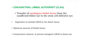 • CONJUNCTIVAL LIMBAL AUTOGRAFT (CLAU)
• Transfer of autologous limbal tissue from the
unaffected fellow eye to the stem cell deficient eye.
• Imperative to exclude LSCD in the donor tissue
• Optimum amount of limbal tissue.
• Conservative removal to prevent iatrogenic LSCD in donor eye
SURGICAL OPTIONS
 