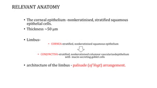 RELEVANT ANATOMY
• The corneal epithelium -nonkeratinised, stratified squamous
epithelial cells.
• Thickness ~50 μm
• Limbus-
• CORNEA-stratified, nonkeratinised squamous epithelium
• CONJUNCTIVA-stratified, nonkeratinised columnar vascularizedepithelium
with mucin-secreting goblet cells
• architecture of the limbus - palisade (of Vogt) arrangement.
 