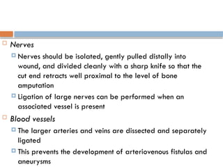  Nerves
 Nerves should be isolated, gently pulled distally into
wound, and divided cleanly with a sharp knife so that the
cut end retracts well proximal to the level of bone
amputation
 Ligation of large nerves can be performed when an
associated vessel is present
 Blood vessels
 The larger arteries and veins are dissected and separately
ligated
 This prevents the development of arteriovenous fistulas and
aneurysms
 