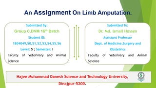 An Assignment On Limb Amputation.
Submitted By:
Group C,DVM 16th Batch
Student ID:
1804049,50,51,52,53,54,55,56
Level: 5 ; Semester: I
Faculty of Veterinary and Animal
Science
Submitted To:
Dr. Md. Ismail Hossen
Assistant Professor
Dept. of Medicine,Surgery and
Obstetrics
Faculty of Veterinary and Animal
Science
Hajee Mohammad Danesh Science and Technology University,
Dinajpur-5200.
 