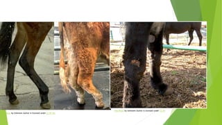 This Photo by Unknown Author is licensed under CC BY-NC
This Photo by Unknown Author is licensed under CC BY
 