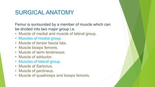 SURGICAL ANATOMY
Femur is surrounded by a member of muscle which can
be divided into two major group i.e.
• Muscle of medial and muscle of lateral group.
• Muscles of medial group.
• Muscle of tensor fascia lata.
• Muscle biceps femoris.
• Muscle of semi tendinsous.
• Muscle of adductor.
• Muscles of lateral group.
• Muscle of Sartorius.
• Muscle of pectineus.
• Muscle of quadriceps and biceps femoris.
 