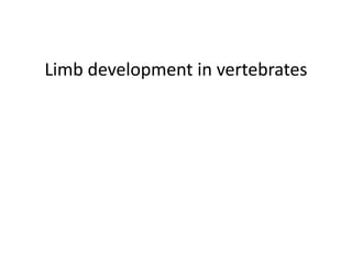 Limb development in vertebrates
 
