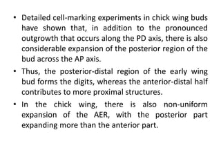 • Detailed cell-marking experiments in chick wing buds
have shown that, in addition to the pronounced
outgrowth that occurs along the PD axis, there is also
considerable expansion of the posterior region of the
bud across the AP axis.
• Thus, the posterior-distal region of the early wing
bud forms the digits, whereas the anterior-distal half
contributes to more proximal structures.
• In the chick wing, there is also non-uniform
expansion of the AER, with the posterior part
expanding more than the anterior part.
 