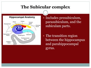 The Subicular complex
 Includes presubiculum,
parasubiculum, and the
subiculam parts.
 The transition region
between the hippocampus
and parahippocampal
gyrus.
)
 