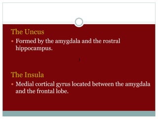The Uncus
 Formed by the amygdala and the rostral
hippocampus.
The Insula
 Medial cortical gyrus located between the amygdala
and the frontal lobe.
)
 