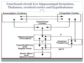 Functional circuit b/w hippocampal formation,
Thalamus, cerebral cortex and hypothalamus
 