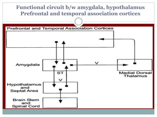 Functional circuit b/w amygdala, hypothalamus
Prefrontal and temporal association cortices
 