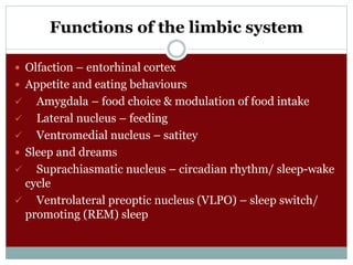 Functions of the limbic system
 Olfaction – entorhinal cortex
 Appetite and eating behaviours
 Amygdala – food choice & modulation of food intake
 Lateral nucleus – feeding
 Ventromedial nucleus – satitey
 Sleep and dreams
 Suprachiasmatic nucleus – circadian rhythm/ sleep-wake
cycle
 Ventrolateral preoptic nucleus (VLPO) – sleep switch/
promoting (REM) sleep
 