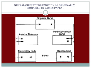 NEURAL CIRCUIT FOR EMOTION AS ORIGINALLY
PROPOSED BY JAMES PAPEZ
 