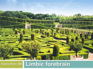 Limbic forebrainDomina Petric, MD
https://www.coursera.org/learn/medical-neuroscience: Leonard E.
White, PhD, Duke University
 