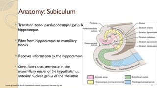 limbic system presentation psychiatry ppt | PPTX