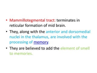 • Mammillotegmental tract: terminates in
  reticular formation of mid brain.
• They, along with the anterior and dorsomedial
  nuclei in the thalamus, are involved with the
  processing of memory.
• They are believed to add the element of smell
  to memories.
 